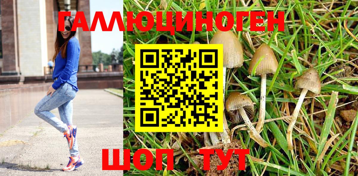 Кириши  Галлюциногенные грибы MAGIC MUSHROOMS  Вход с VPN 